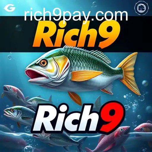 VIP Service Rich9 - 24/7 Support and Exclusive Benefits