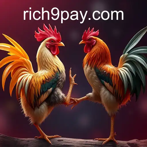 Gaming Experience Rich9 - 800+ Premium and Exclusive Games